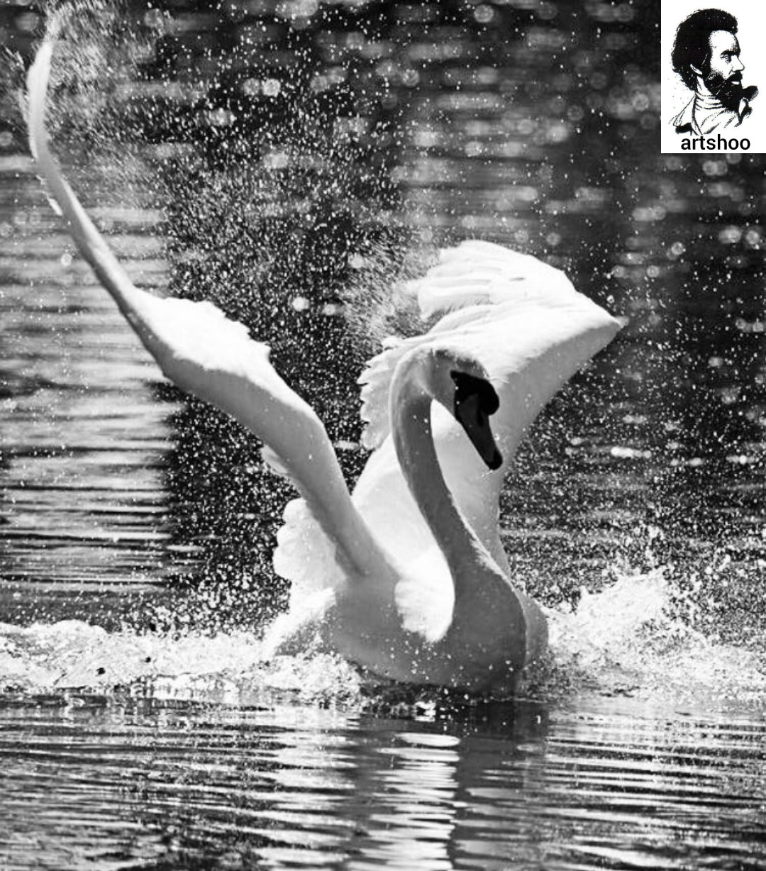 مدل سیاه قلم اورژینال آب